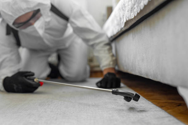 Professional Bed Bug Control technician working in Arroyo Seco, NM