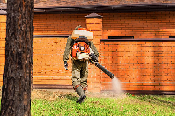 Trusted Bed Bug Control service in Arroyo Seco, NM - Nex Pest Control